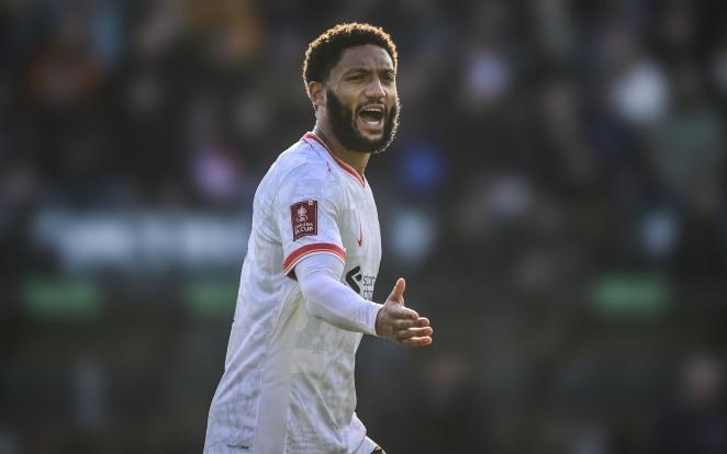 团队执行 团队执行